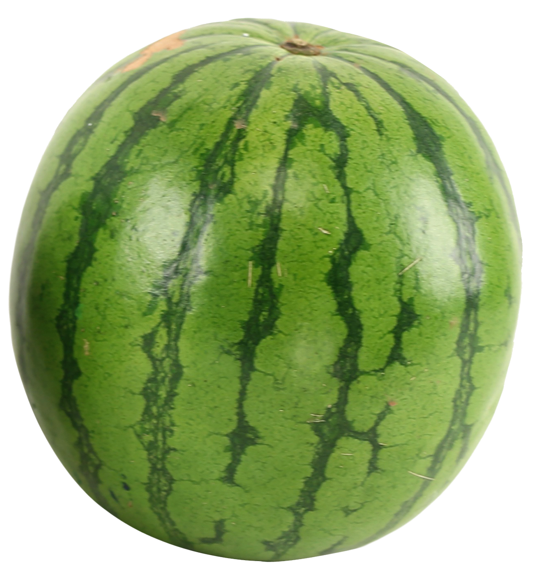 Large melon image